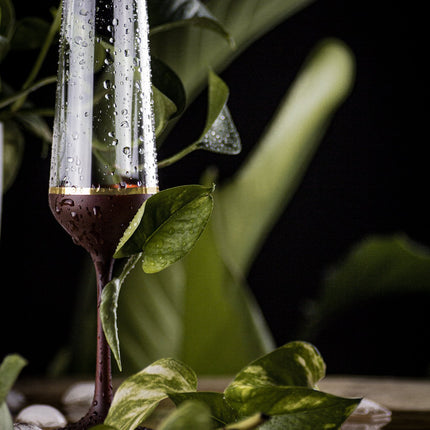 Delight Garnet hand-painted crystal champagne glass 200 ml