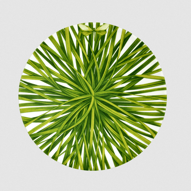 Life in Green - dessert/salad plate