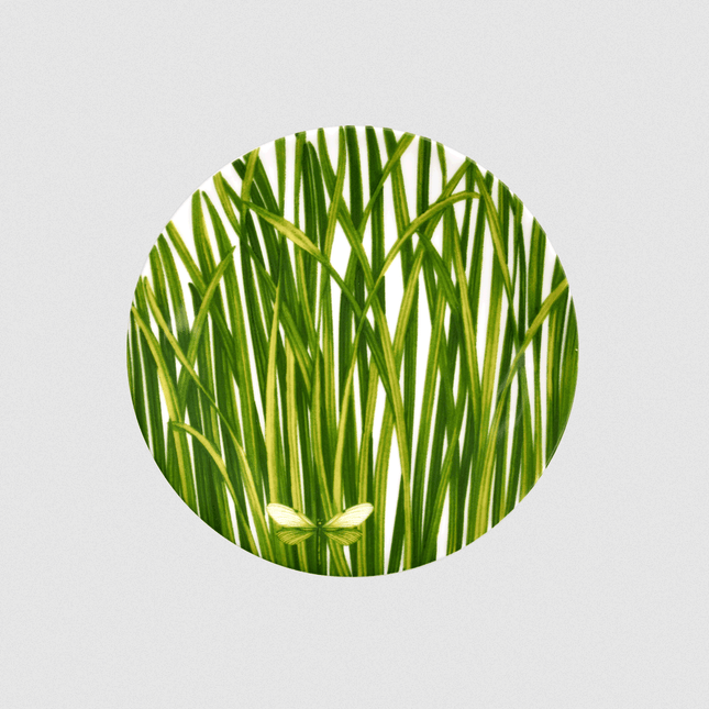 Life in Green - small plate