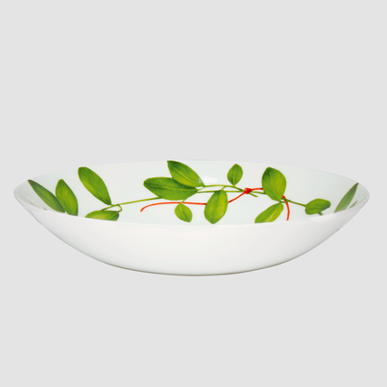 Fil Rouge Foglie - coupe soup plate