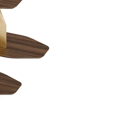 ANTA DA ARCA bookcase