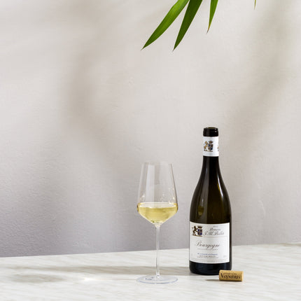 Auriga Riesling/Sauvignon wine glass