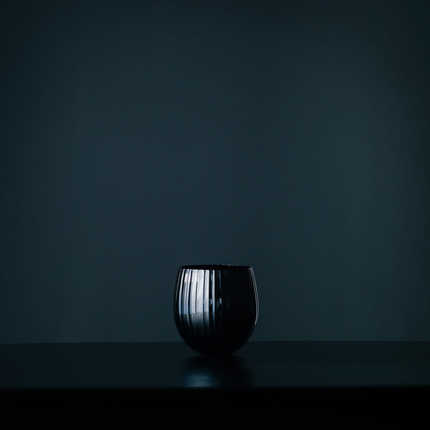 Tethys tumbler 520 ml - black