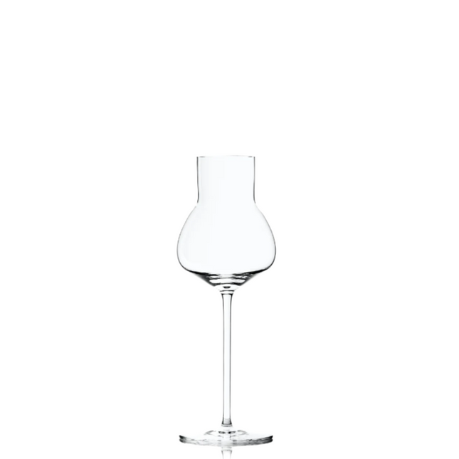 Auriga grappa/fruit spirits glass