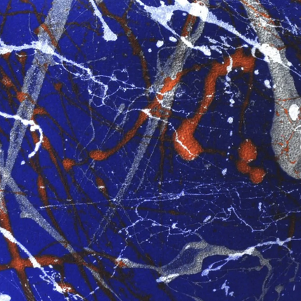 Apple of Desire 24 cm - Art Big: Morris 174