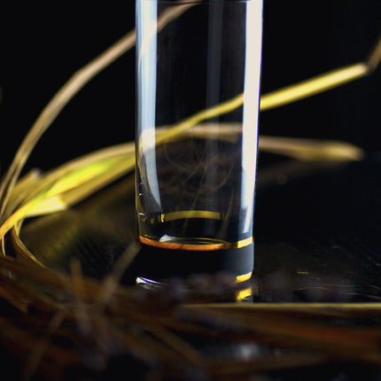 Delight Black hand-painted crystal water glass 300 ml