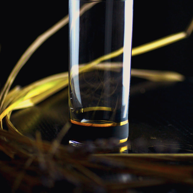 Delight Black hand-painted crystal water glass 300 ml