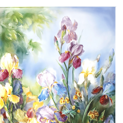 MEISSEN Wall painting irises - Horst Bretschneider, limited edt.