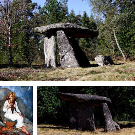 ANTA DA ARCA bookcase