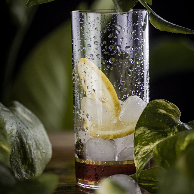 Delight Garnet hand-painted crystal water glass 300 ml