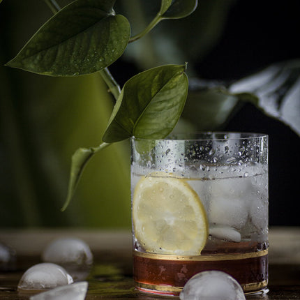 Delight Garnet hand-painted crystal whisky glass 280 ml