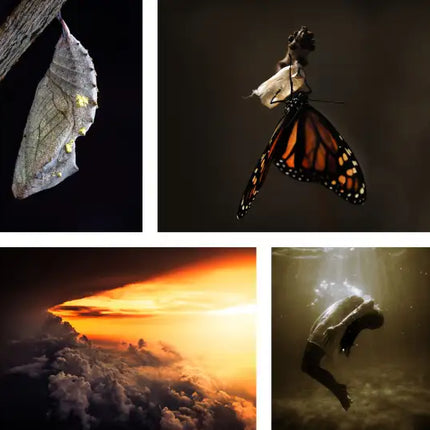 METAMORPHOSIS armchair