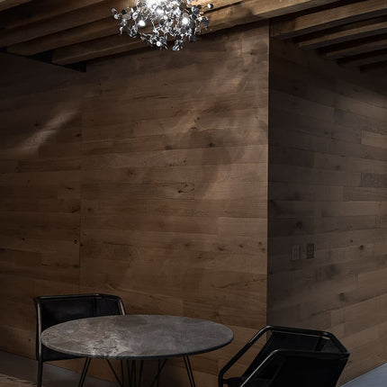 Argent ceiling light