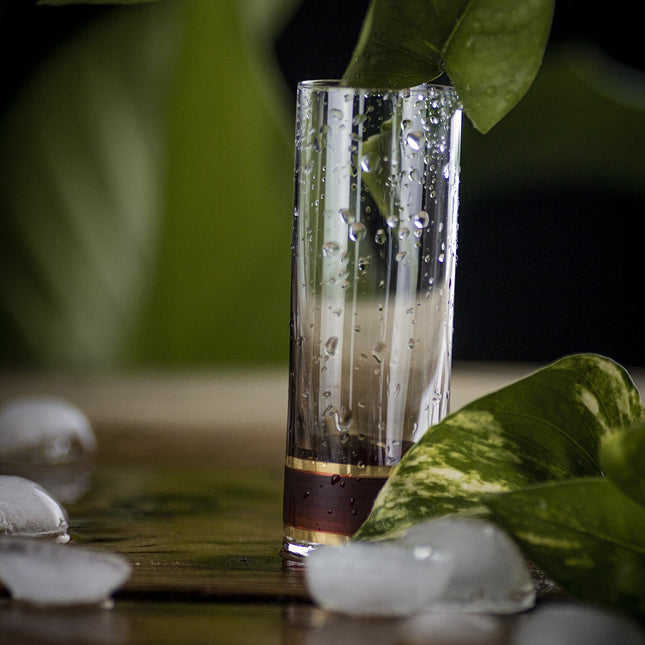 Delight Garnet hand-painted crystal spirit glass 50 ml